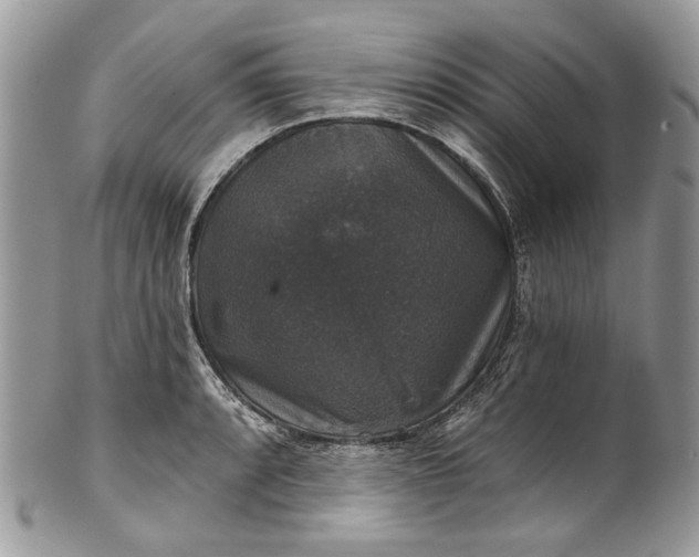 X0000101971088200808011125