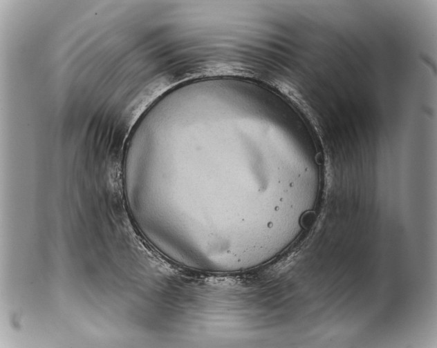 X0000101971089200808011125