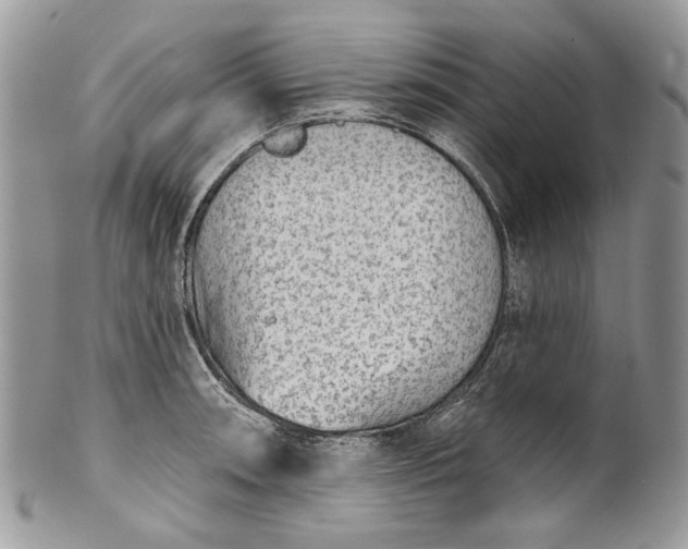 X0000101971090200808011125