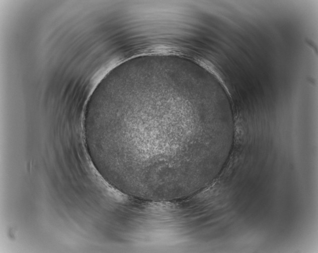 X0000101971091200808011125
