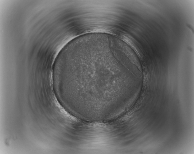 X0000101971092200808011125
