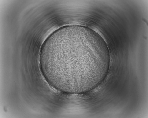 X0000101971093200808011125