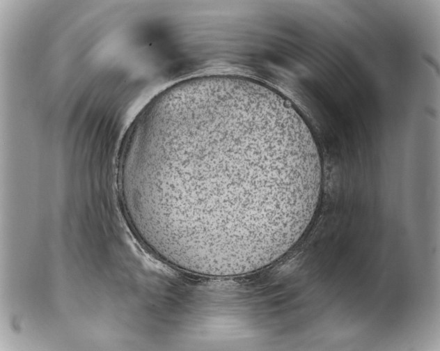 X0000101971094200808011125