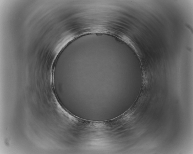 X0000101971095200808011125
