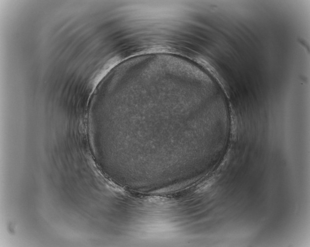 X0000101971097200808011125