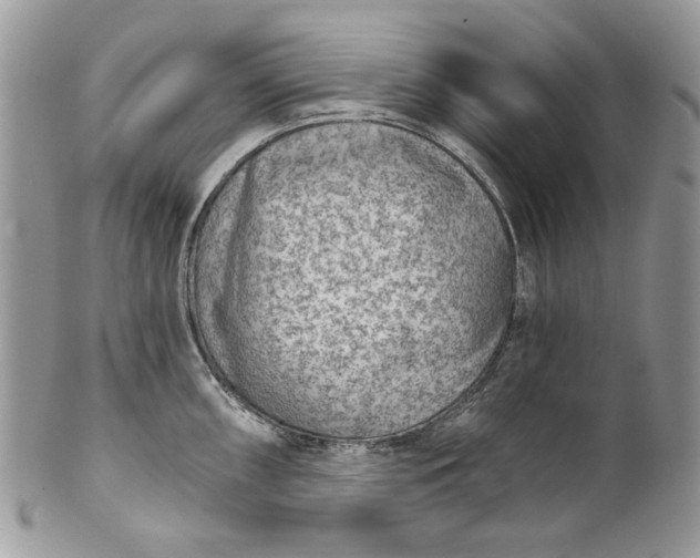 X0000101971098200808011125