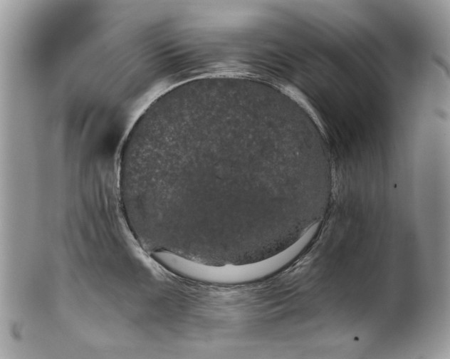 X0000101971099200808011125