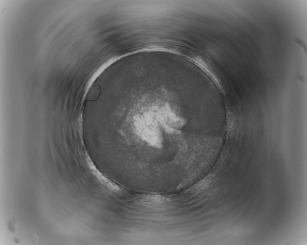 X0000101971100200808011125