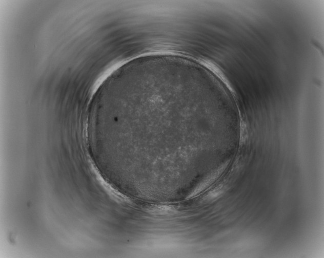 X0000101971101200808011125