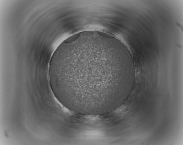 X0000101971103200808011125