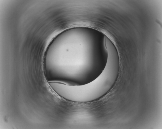 X0000101971104200808011125