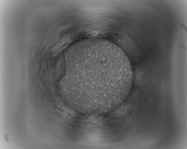 X0000101971105200808011124