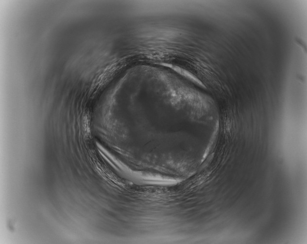 X0000101971106200808011124