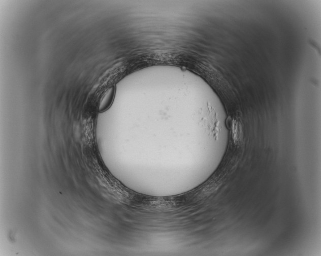 X0000101971107200808011124