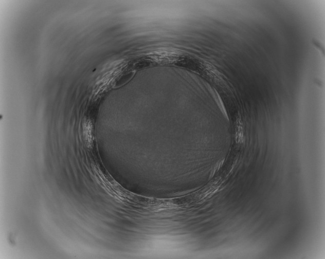 X0000101971108200808011124