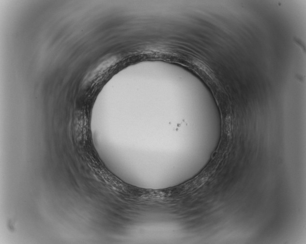 X0000101971111200808011124