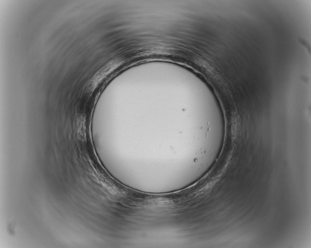 X0000101971113200808011124