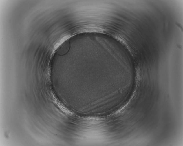X0000101971114200808011124