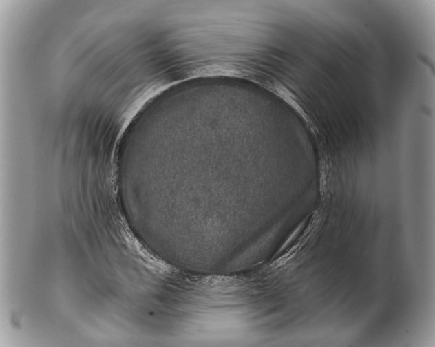 X0000101971116200808011124