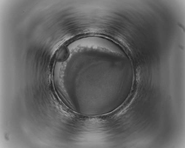 X0000101971117200808011124