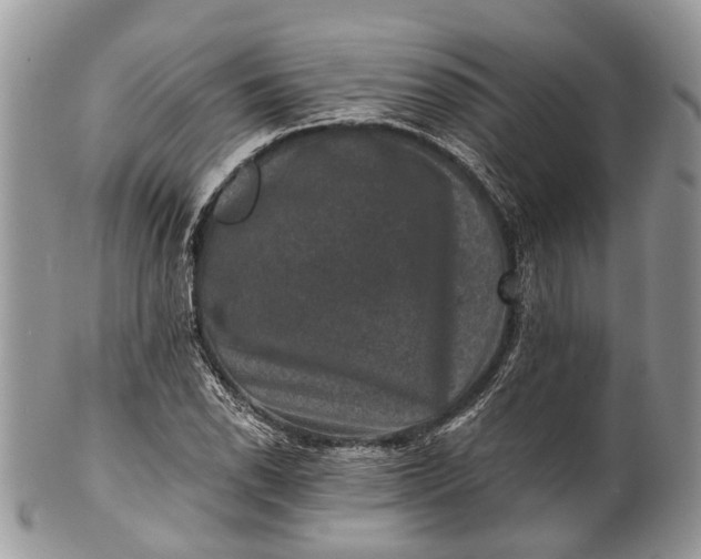 X0000101971118200808011124