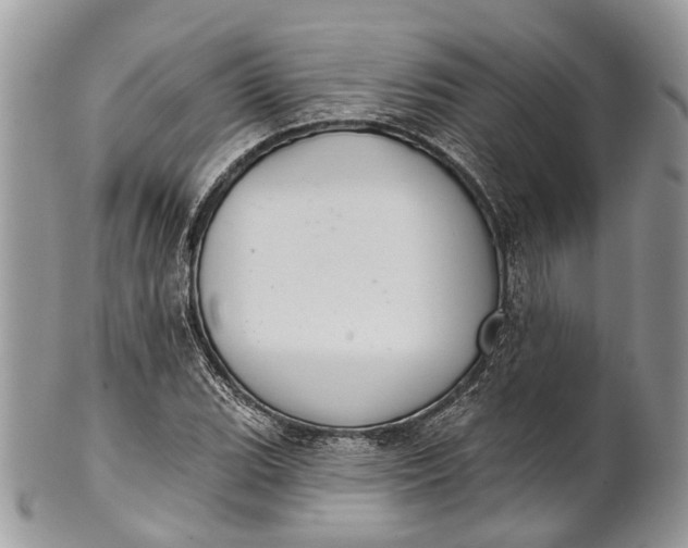 X0000101971119200808011124