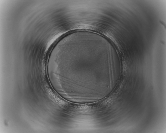 X0000101971120200808011124