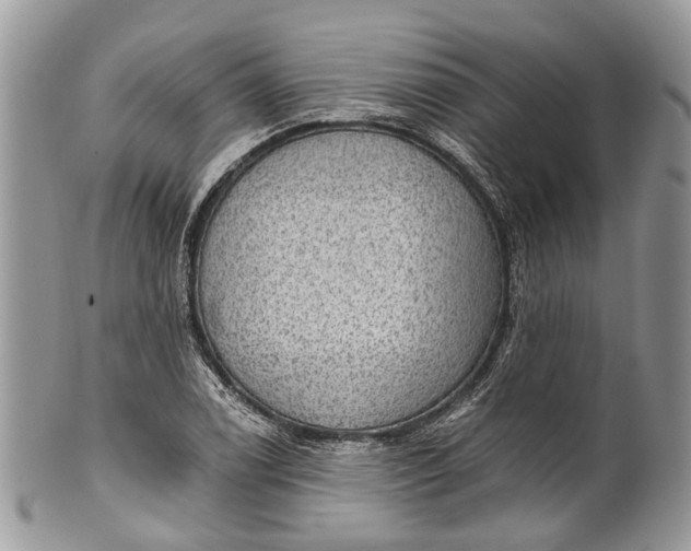 X0000101971122200808011124