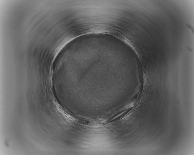X0000101971124200808011124