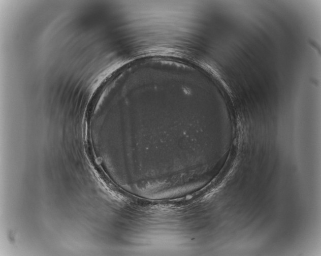 X0000101971125200808011124
