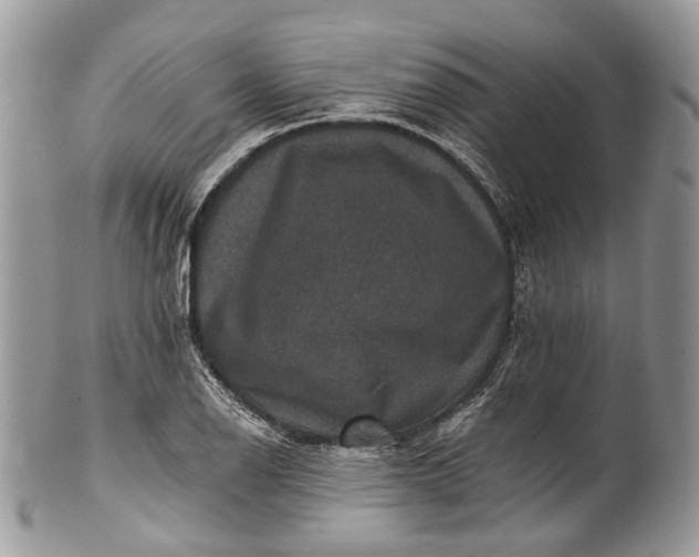 X0000101971126200808011124