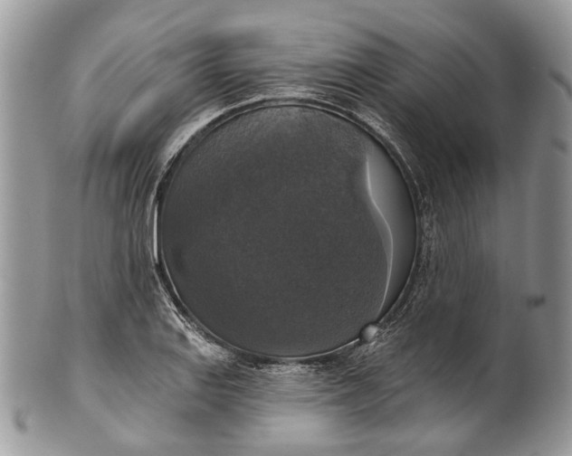X0000101971127200808011124
