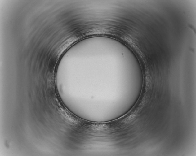 X0000101971129200808011125