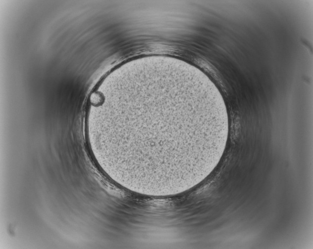 X0000101971130200808011125