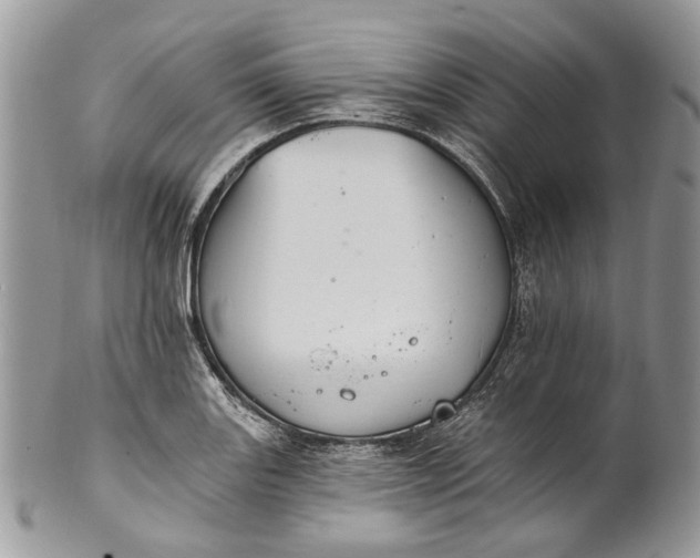 X0000101971131200808011125