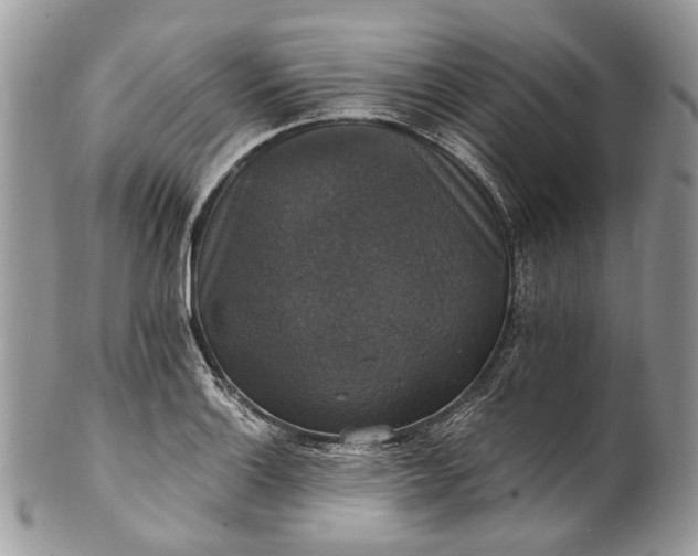 X0000101971132200808011125
