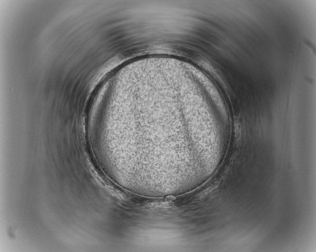 X0000101971133200808011125