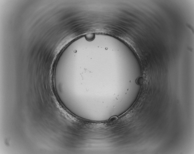 X0000101971135200808011125