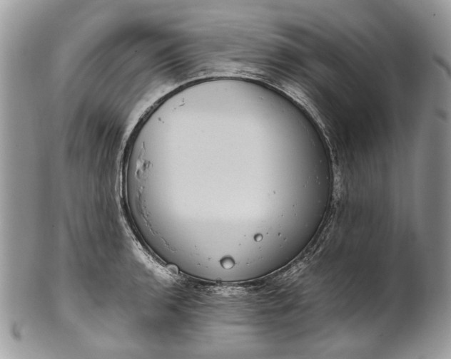 X0000101971136200808011125