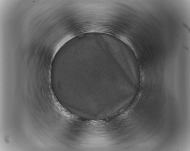 X0000101971138200808011125
