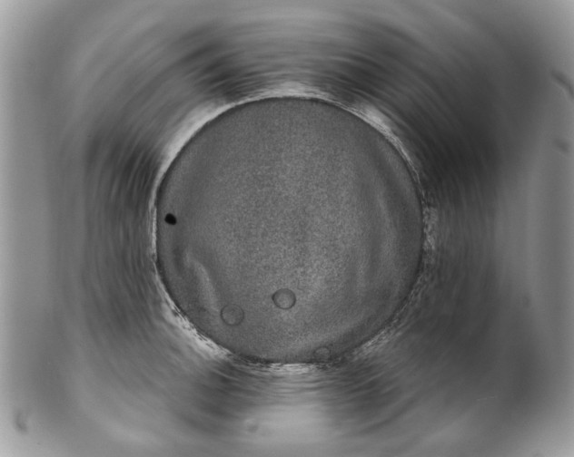 X0000101971140200808011125