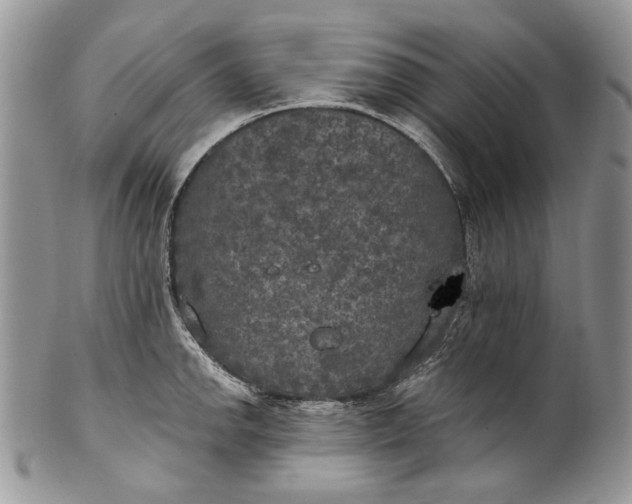 X0000101971142200808011125