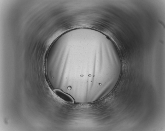 X0000101971143200808011125