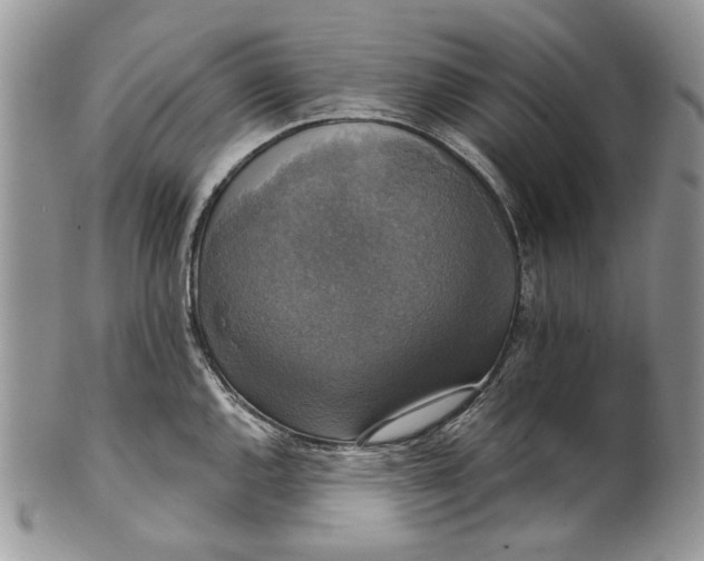 X0000101971144200808011125