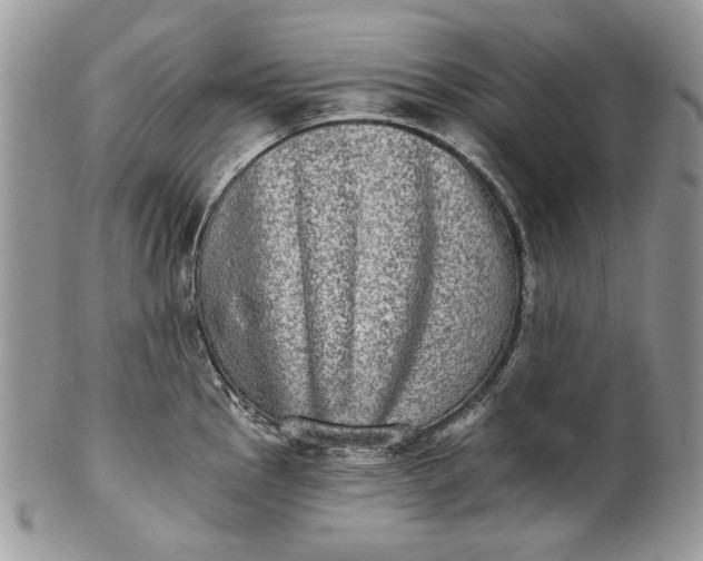 X0000101971145200808011125