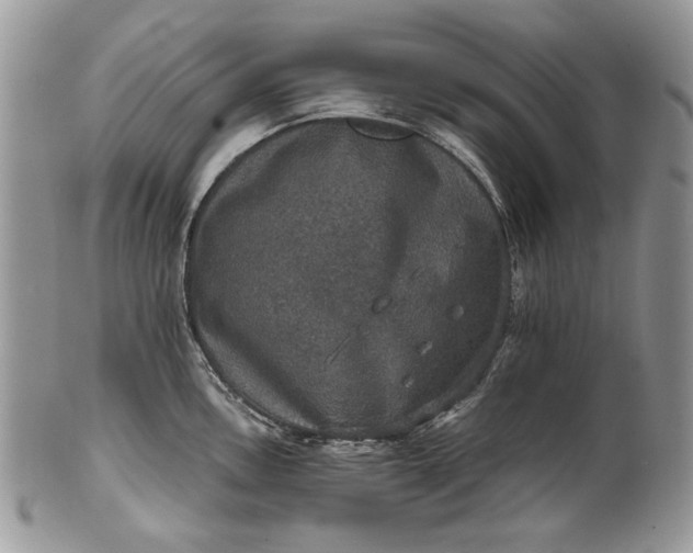 X0000101971146200808011125