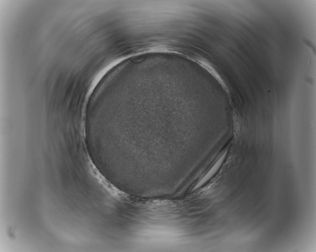 X0000101971148200808011125