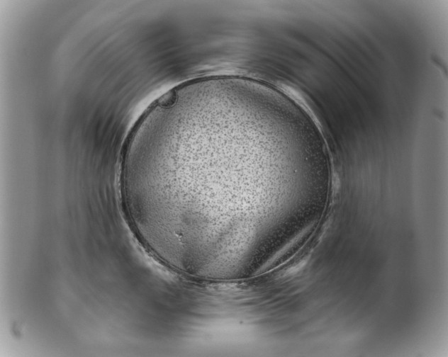 X0000101971149200808011125