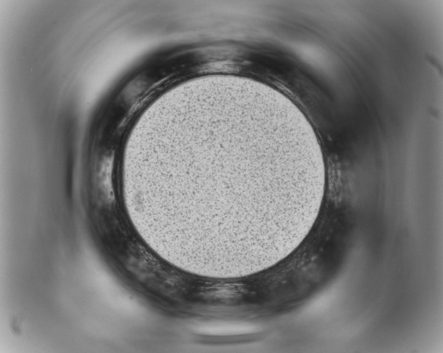 X0000101971150200808011125