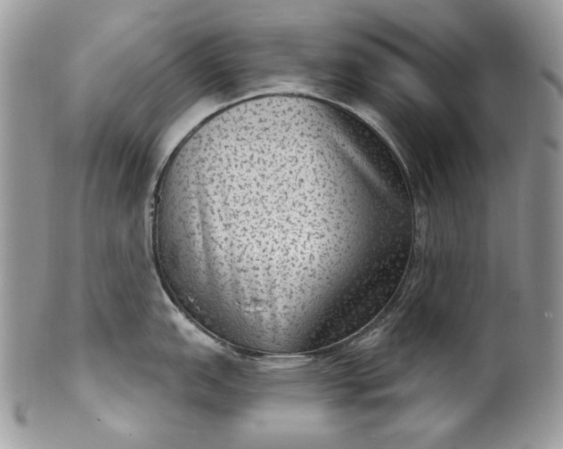 X0000101971151200808011125